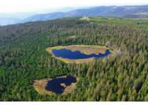 Luftbild Hochmoor Kaltenbronn (c) Infozentrum Kaltenbronn Luftbild Kaltenbronn, Blick über die Moorlandschaft mit Seen und Aussichtisturm