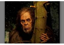 Bigfoot im Naturkundemuseum Kassel (c) Naturkundemuseum Kassel