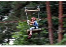 CLIMB UP! - Kletterwald® in Klaistow
