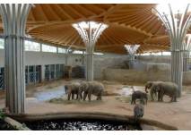 Geheimnisvolle Nachtexpedition im Zoo Köln (c) Zoo Köln Geheimnisvolle Nachtexpedition im Zoo Köln (c) Zoo Köln