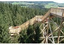 Kopfing Baumkronenweg, copyright: Verein Baumkronenweg Kopfing Baumkronenweg Kindergeburtstag