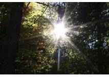 NABU-Naturschutzstation Kranenburg, copyright: Diana NABU-Naturschutzstation Kranenburg