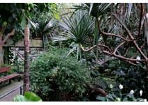 Krefelder Zoo