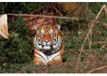 Entdeckungen im Zoo Landau