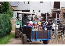 Lama- und Ponyhof in Langenbernsdorf
