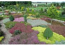 © Botanischer Garten Christiansberg