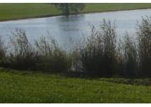 Horstmarer See in Lünen, copyright: Diana Horstmarer See in Lünen
