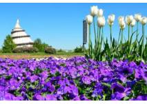 Elbauenpark Magdeburg (c) MVGM