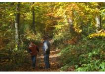 Limes-Lehrpfad im Mainhardter Wald (c) alex grom