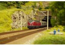 (c) Schwarzwald Model Bahn Hausach 