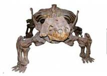 Palaeontologisches Museum