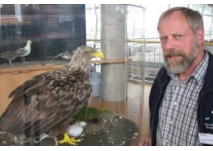 Vogelausstellung im Multimar Wattforum (c) Hecker, LKN-SH Vogelausstellung im Multimar Wattforum (c) Hecker, LKN-SH