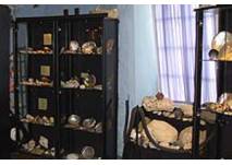 Ausstellungsraum Muschel- und Schnecken-Museum Norden