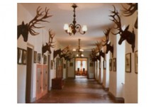 (c) Museum Jagdschloss Kranichstein Museum Jagdschloss Kranichstein