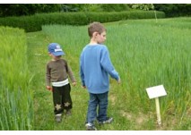 Naturlehrpfad Zeitzgrund in Hermsdorf (c) Antje Bayer Naturlehrpfad Zeitzgrund in Hermsdorf