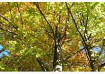 Naturpark Schwalm-Nette, copyright: Diana Naturpark Schwalm-Nette