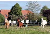 Reiten auf dem Ponyhof Neuholland in Liebenwalde