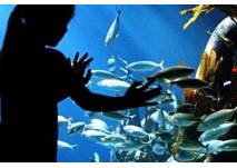 Sea Life Oberhausen