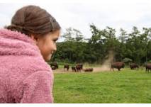 Panoramapark  Sauerland Wildpark