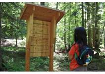 Plauen Waldlehrpfad (c) Adriana Plauen Waldlehrpfad