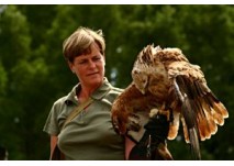 © Wald-Jagd-Natur-Erlebnis e.V.
