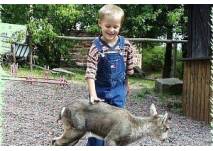 (c) Wildpark in Potzberg Kindergeburtstag im Wildpark in Potzberg