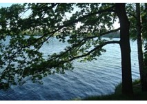 Rundwanderweg Riebener See