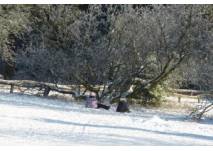 Winterrodelbahn Rehfeld