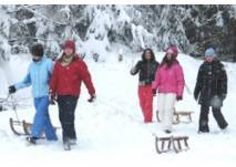 Winterrodelbahn Hohenbogen (c) Hohenbogenbahn GmbH und Co. KG Winterrodelbahn Hohenbogen (c) Hohenbogenbahn GmbH und Co. KG