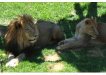 Zoo Rostock