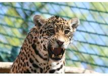 (c) Zoo Saarbrücken Besuch im Zoo Saarbrücken