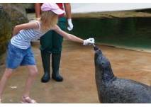 (c) Zoo Saarbrücken Kindergeburtstag im Zoo Saarbrücken