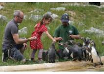 Kindergeburtstag im Tierpark Sababurg (c) Tierpark Sababurg Kindergeburtstag im Tierpark Sababurg (c) Tierpark Sababurg