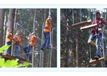 Klettern wie Tarzan (c) Kletterwald Schöneck