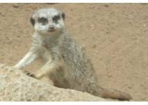 Zoo Schwerin