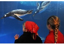 Sea Life Speyer Sea Life Speyer
