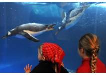 (c) SEA LIFE Deutschland (c) SEA LIFE Deutschland