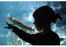 (c) SEA LIFE Deutschland (c) SEA LIFE Deutschland