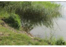 © Antje Griehl Wanderung um den Selliner See