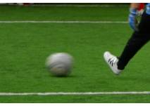 (c) alex grom Fußball