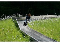 (c) Wild- u. Erlebnispark Daun