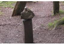 Drehstein auf Holz auf dem Spielplatz