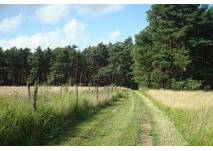 Wanderung auf dem Salzweg bei Storkow