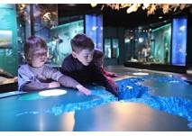 © Ozeaneum Stralsund, Foto: Johannes-Maria Schlorke, 2009 © Ozeaneum Stralsund, Foto: Johannes-Maria Schlorke, 2009