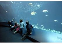 © Ozeaneum Stralsund, Foto: Johannes-Maria Schlorke, 2009 Kindergeburtstag im OZEANEUM in Stralsund