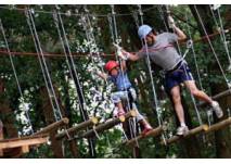 CLIMB UP! - Kletterwald® in Strausberg