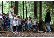 Kindergeburtstag (c) Kindergeburtstag im Wald in Stuttgart