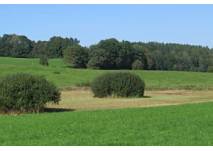 Wanderung zum Aussichtsturm auf dem Herzberg