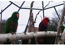 Vogelpark & Streichelzoo in Teltow