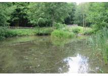 Naturpark Eggegebirge und südlicher Teutoburger Wald